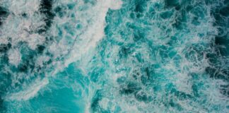 un risque négligé par les entreprises