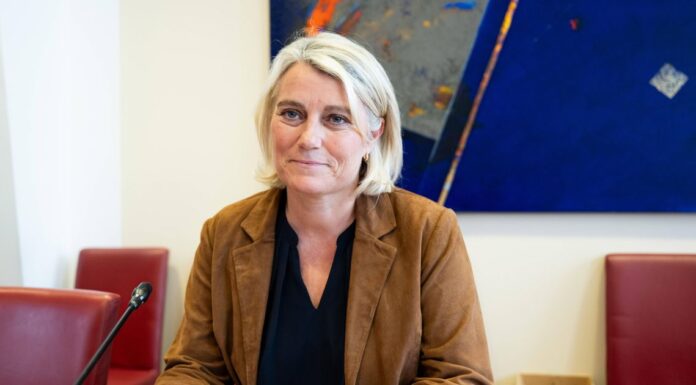 Hantavirus : la totalité des cas contacts présents en France testés négatifs