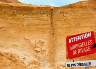 Cemex France confirme ses engagements environnementaux