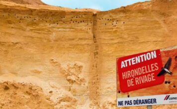 Cemex France confirme ses engagements environnementaux