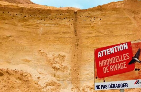 Cemex France confirme ses engagements environnementaux