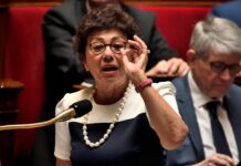 Monique Barbut propose d’entourer le Sud de la France avec du papier d’aluminium