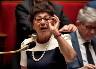 Monique Barbut propose d’entourer le Sud de la France avec du papier d’aluminium