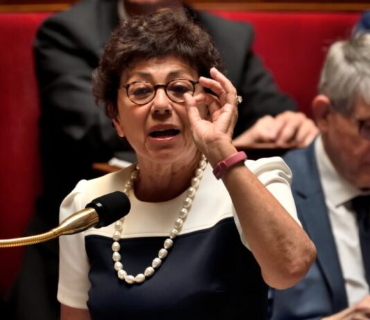 Monique Barbut propose d’entourer le Sud de la France avec du papier d’aluminium
