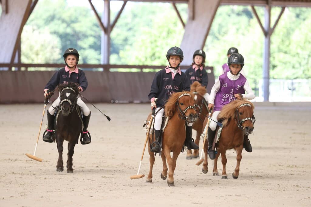 Le Grand Tournoi est l'occasion de mieux faire connaître le paddock-polo