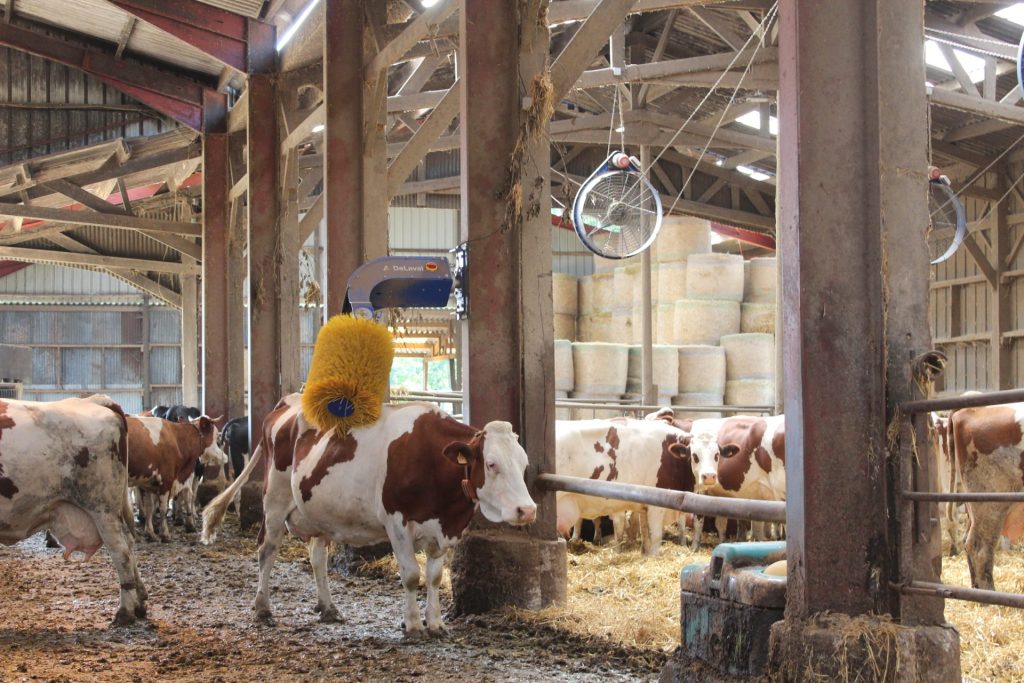 montbéliarde aménagement chaleur