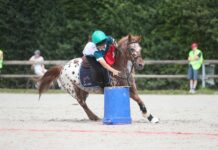 Rendez-vous au Grand Tournoi ce week-end pour l’édition 2026