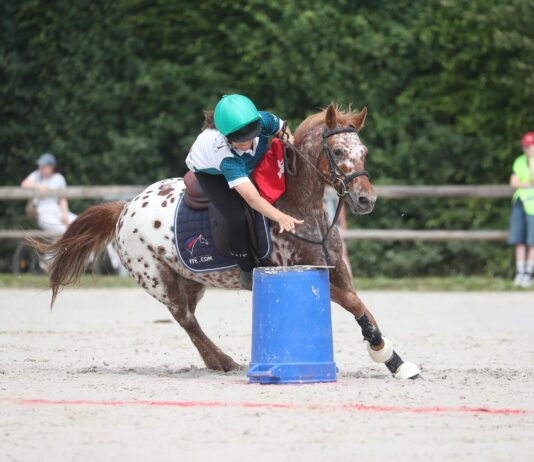 Rendez-vous au Grand Tournoi ce week-end pour l’édition 2026
