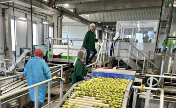 Cette entreprise arboricole de Maine-et-Loire se dote de la plus grande capacité de traitement de poires de France