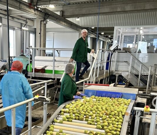 Cette entreprise arboricole de Maine-et-Loire se dote de la plus grande capacité de traitement de poires de France