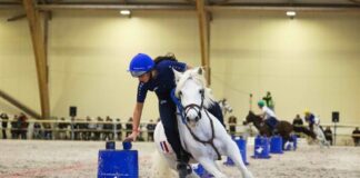 Rendez-vous à Lamotte-Beuvron pour les championnats du monde de pony-games et d’Europe de horse-ball