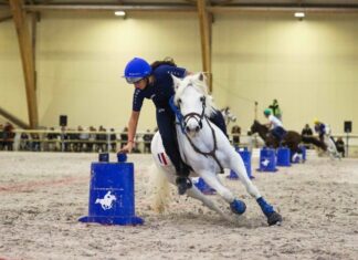 Rendez-vous à Lamotte-Beuvron pour les championnats du monde de pony-games et d’Europe de horse-ball