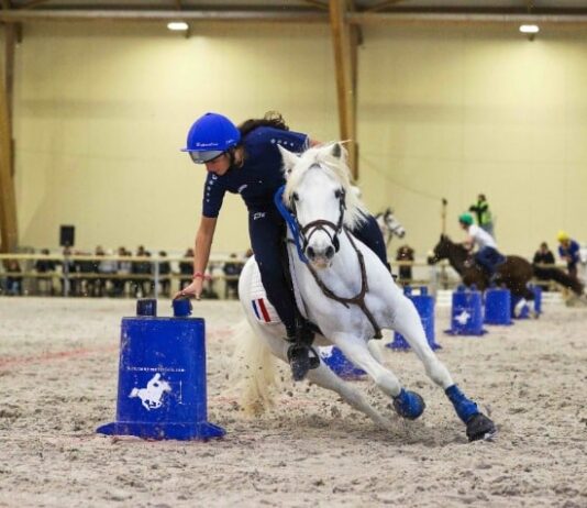 Rendez-vous à Lamotte-Beuvron pour les championnats du monde de pony-games et d’Europe de horse-ball